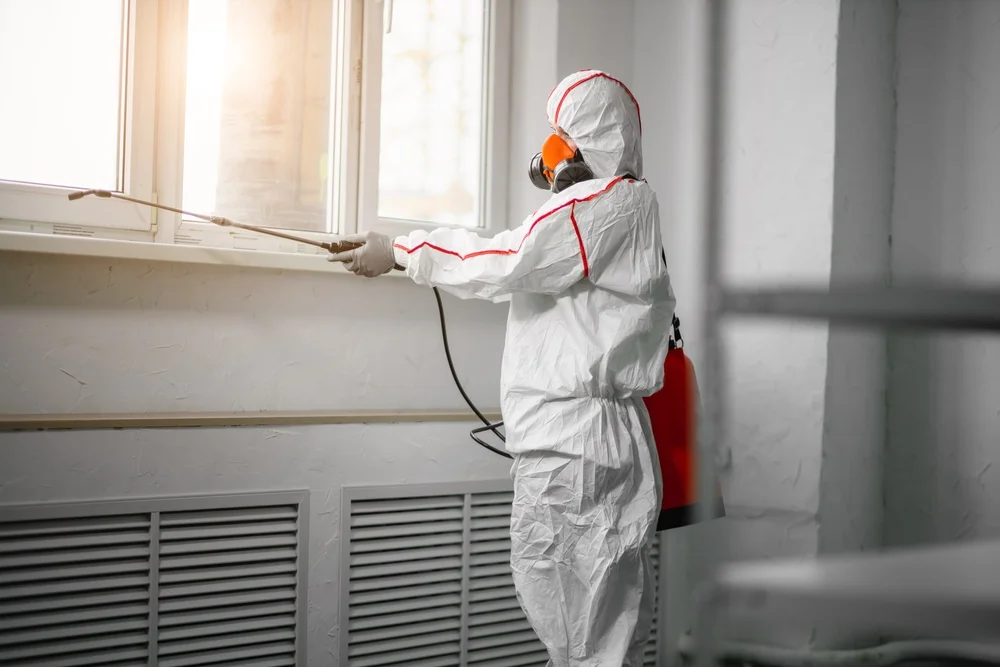 Professional mold remediation services in Taylorsville, IN